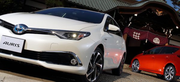 auris_img011