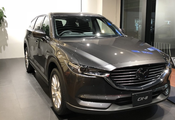 cx-8_203